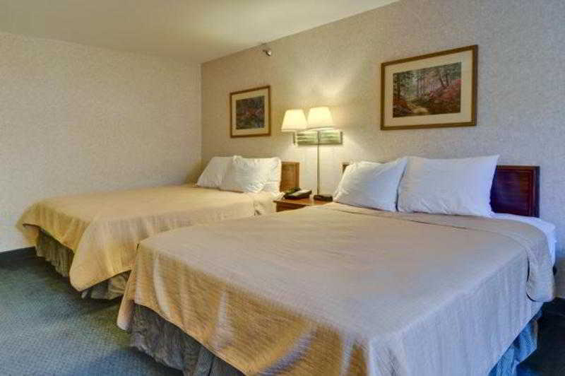 Best Western Plaza Hotel Saugatuck Habitación foto